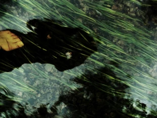 Fot. Daria Kozłowska