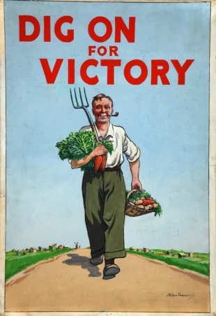 Amerykański plakat z czasów drugiej wojny światowej promujący przydomowe ogródki warzywne: „Twój Ogródek Zwycięstwa liczy się teraz bardziej niż kiedykolwiek”. Autor Peter Fraser, źródło: wikipedia.org