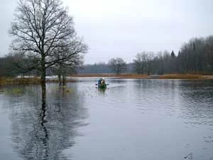
W czasie wiosennych roztopów, w Parku Narodowym Soomaa woda wzbiera nawet o 5 m, a rozlewisko szerokie na 7-8 km osiąga powierzchnię nawet 150 km2. Tę kilkutygodniową powódź Estończycy nazywają piątą porą roku. Fot. Aivar Ruukel/Visitestonia.com
