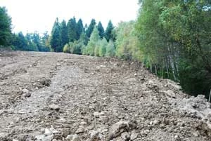 Samowola budowlana na Tobołowie w Gorczańskim Parku Narodowym. Fot. Janusz Tomasiewicz