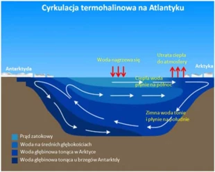 
Schemat niezaburzonego krążenia wody w Ocenie Atlantyckim pomiędzy Arktyką i Antarktydą.
