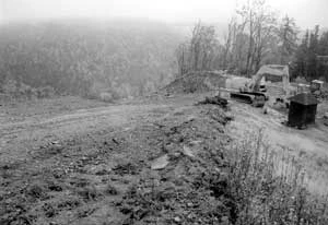 Jaworzyna Krynicka. Fot. Dariusz Matusiak