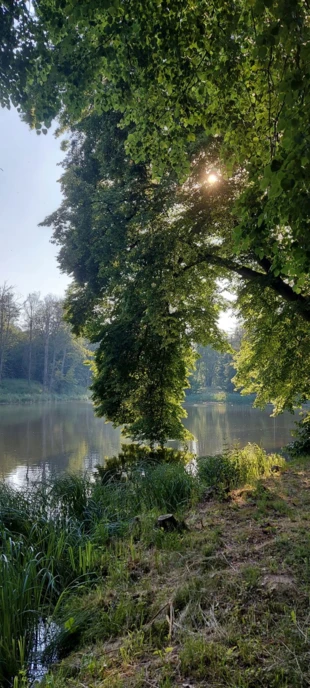 Papiernia koło Chodzieży. Fot. Krzysztof Mączkowski