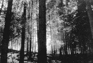 Fot. Janusz Rubisz