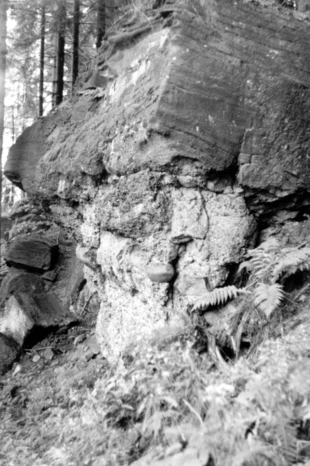 Skałki nad Kamesznicą. Fot. Tomasz Kudłacz