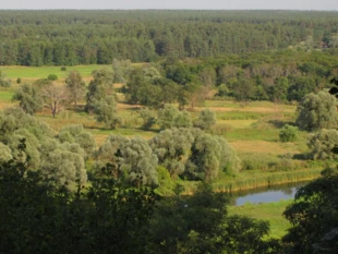 Nad Siewierskim Dońcem. Fot. Krzysztof Wojciechowski