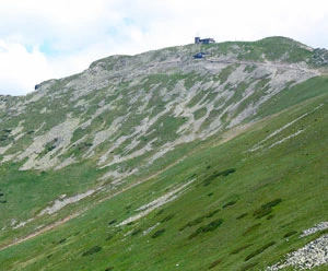 Fot. Jerzy Zembrzuski