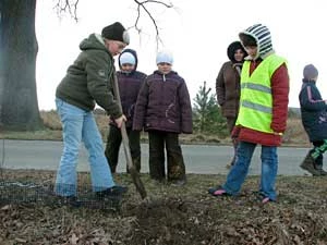 Uczniowie szkoły w Wierzchowicach sadzą dęby przy drodze do Dziewiętlina. Fot. Maciej Kowalski