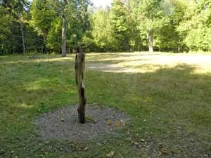 Na pierwszym planie lizawka, za nią nęcisko w rezerwacie Lasy Naturalne Puszczy Białowieskiej, oddział 672B, współrzędne N 52 37449, E 23 44 618. Fot. Adam Bohdan