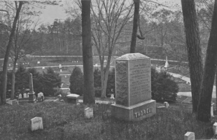 Grób Thoreau, Wzgórze Pisarzy na cmentarzu „Senna Kotlina” w Concord w Massachusetts. Fot. Herbert Gleason. Dzięki uprzejmości the Walden Woods Project Collection z Instytutu Thoreau przy Walden Woods