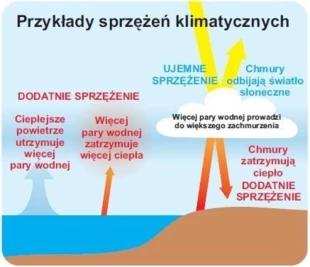 
Ujemne i dodatnie sprzężenia zwrotne
