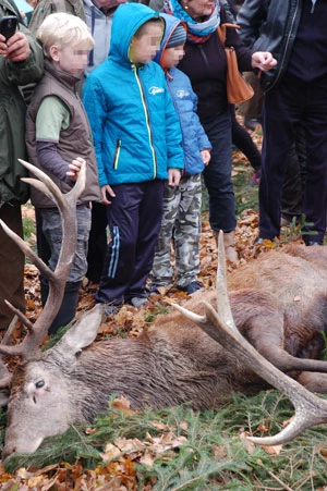 Oczy już nie te same, Hubertus, Spała, 2014 r. Fot. Joanna Bieńkowska