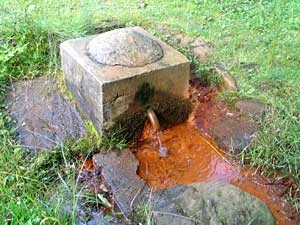 Łomnica – źródło szczawy Na łące. Fot. Lucyna Rajchel