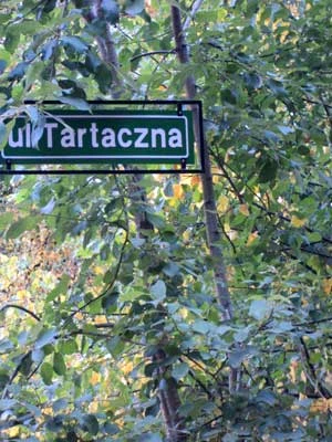Ulica Tartaczna w Dolinie Wapienicy. Fot. Dagmara Stanosz