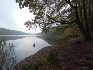 Jeziorna zatoczka tuż po ustaniu deszczu. Fot. Bartosz Świątek