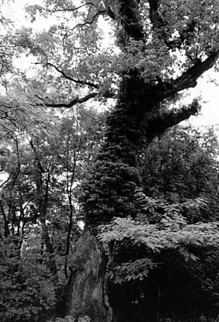 Fot. Dariusz Matusiak