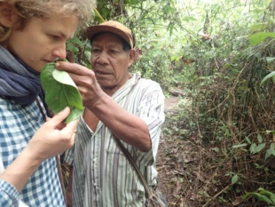 
Zbieranie informacji na temat dzikich roślin leczniczych wśród Indian Ashaninka. Na fotografii Monika Kujawska. Fot. Joanna Sosnowska, Chembo, Selva Central, Peru, wrzesień 2016 r.
