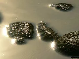 Kamienie. Fot. Ryszard Kulik