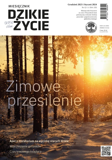 2023-12-okl-dz_1000