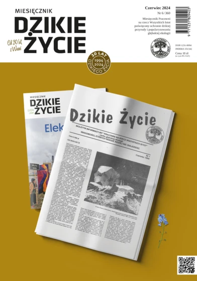 2024-06_okl-dz_1000