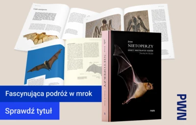 Zycie-nietoperzy-DeeAnn-Reeder-1200x800