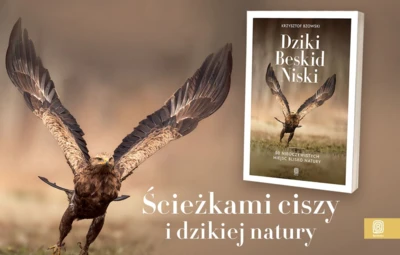 Dziki-Beskid-Niski-1200x800