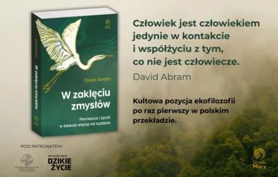David-Abram-W-zakleciu-zmyslow-1200x800