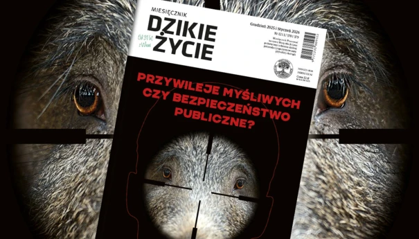 2025-12-www-dz_1200x800