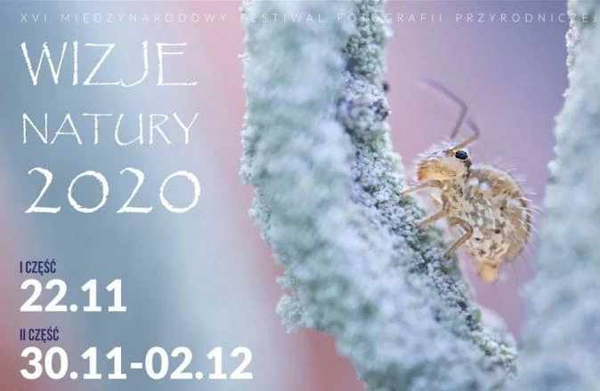 wizje-natury-2020