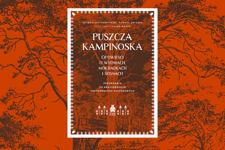 Puszcza-Kampinoska-1200x800