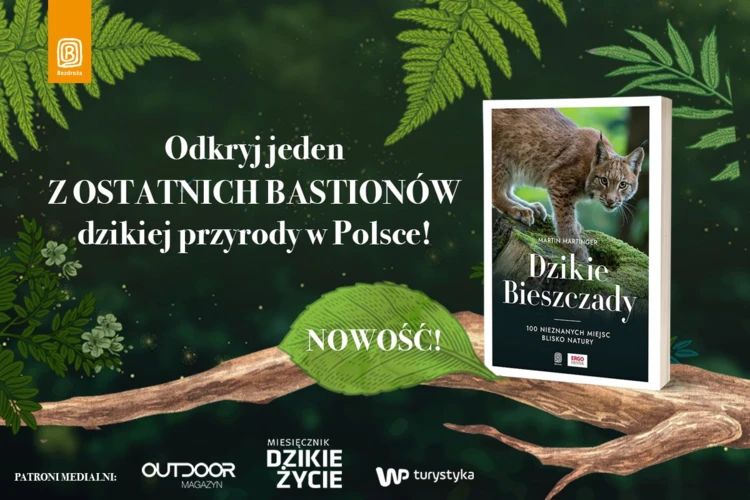 Dzikie-Bieszczady-1200x800