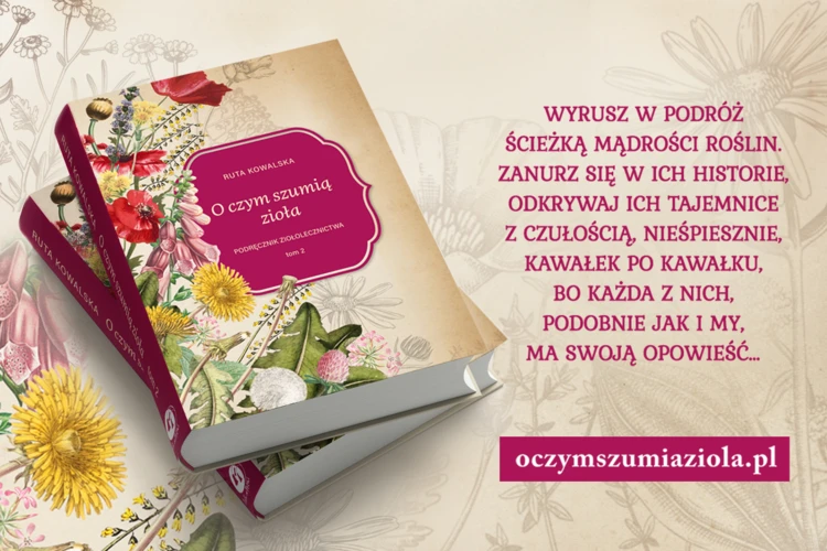 Ruta-Kowalska-O-czym-szumia-drzewa-1200x800