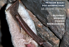 Marcowy numer Dzikiego Życia już w sprzedaży