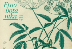Majowy numer Dzikiego Życia już w sprzedaży