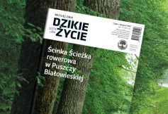 Wakacyjne wydanie Dzikiego Życia już dostępne