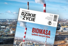 Lutowe wydanie Dzikiego Życia już dostępne