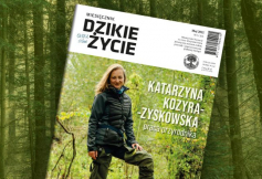 Majowe wydanie Dzikiego Życia już dostępne