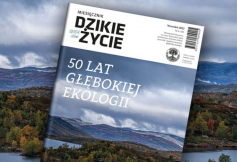 Wrześniowe wydanie Dzikiego Życia już dostępne