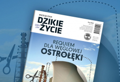 Majowe wydanie Dzikiego Życia już dostępne