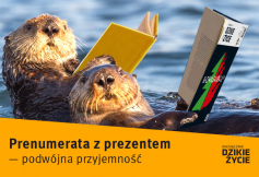 Zamów prenumeratę Dzikiego Życia i wybierz sobie prezent