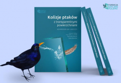 Miesięcznik Dzikie Życie poleca książkę „Kolizje ptaków z transparentnymi powierzchniami. Kompendium wiedzy”