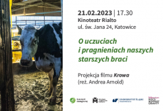 Projekcja filmu „Krowa” Andrei Arnolda w Katowicach