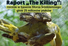 Październikowy numer Dzikiego Życia już w sprzedaży