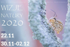 Miesięcznik Dzikie Życie poleca XVI Festiwal Fotografii Przyrodniczej Wizje Natury 2020 online