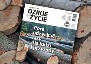 Marcowe wydanie Dzikiego Życia już dostępne