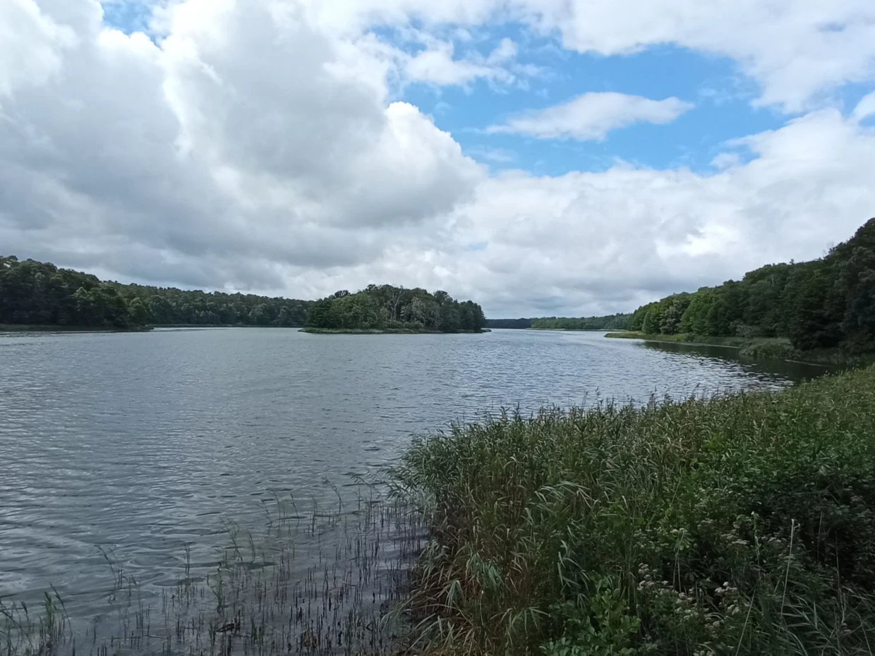 Pełnia lata nad jeziorem. Fot. Bartosz Świątek