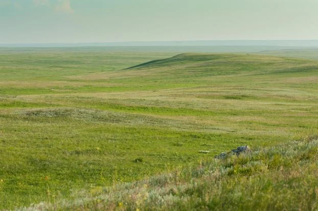 W Orenburskim Zapowiedniku stepy zajmują 90% jego powierzchni. Fot. Natalia Sudets