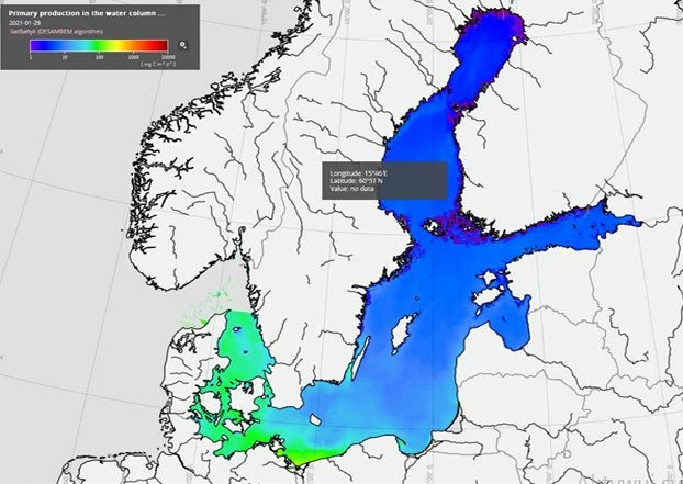 
To satelitarny obraz produkcji pierwotnej w Bałtyku z końca stycznia 2021 roku, ciemny kolor oznacza minimalną fotosyntezę na większości obszaru. Chętnym do szybkiego wyciągania wniosków trzeba uświadomić, że jest to zima taka sama jak na lądzie, a koncentracja chlorofilu i produkcja pierwotna to nie jest coś czym odżywiają się ryby. Fot. strona internetowa IOPAN satbaltyk.iopan.gda.pl
