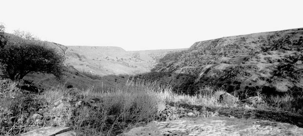 Rezerwat Gamla. Fot. Shmulik Amir