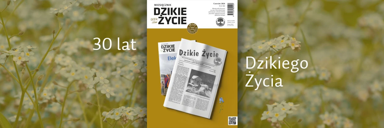 2024-06-twitter-dz_tlo